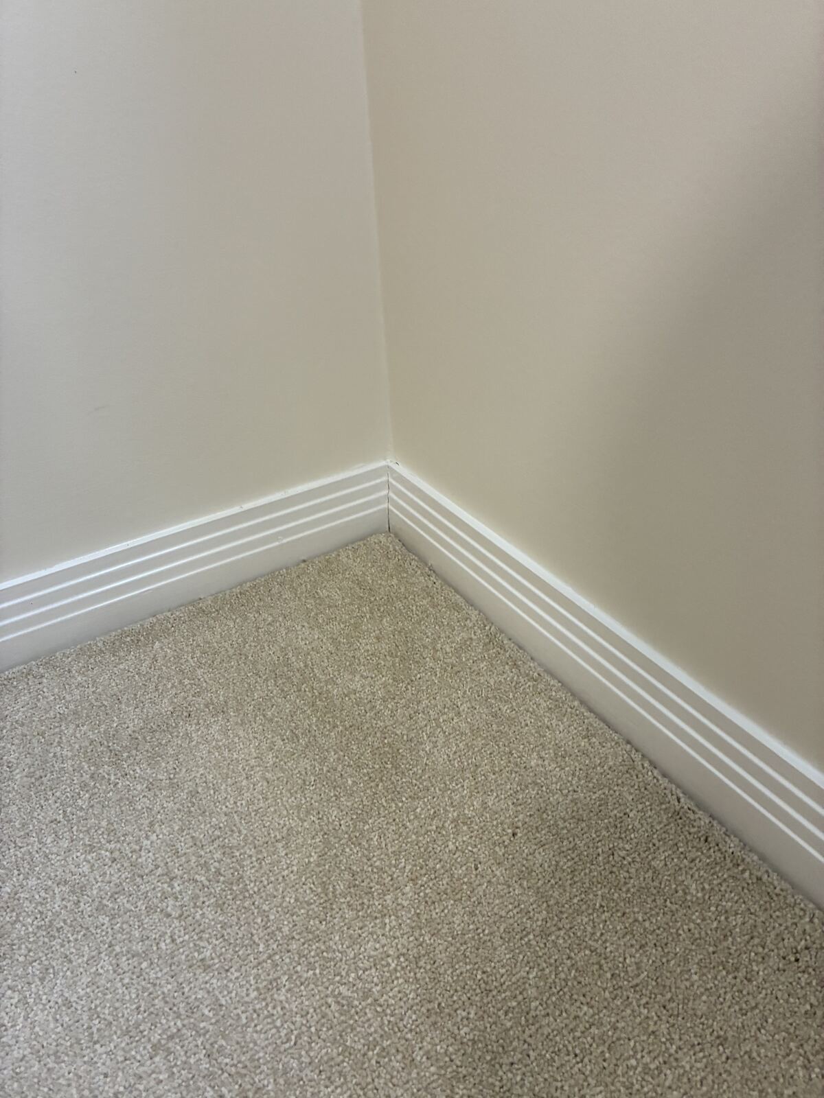 Skirting boards and carpet edge cleaned for a Brisbane end of lease inspection